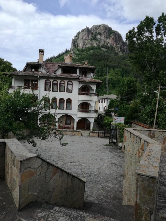 Family Hotel Silver Smolyan Luaran gambar